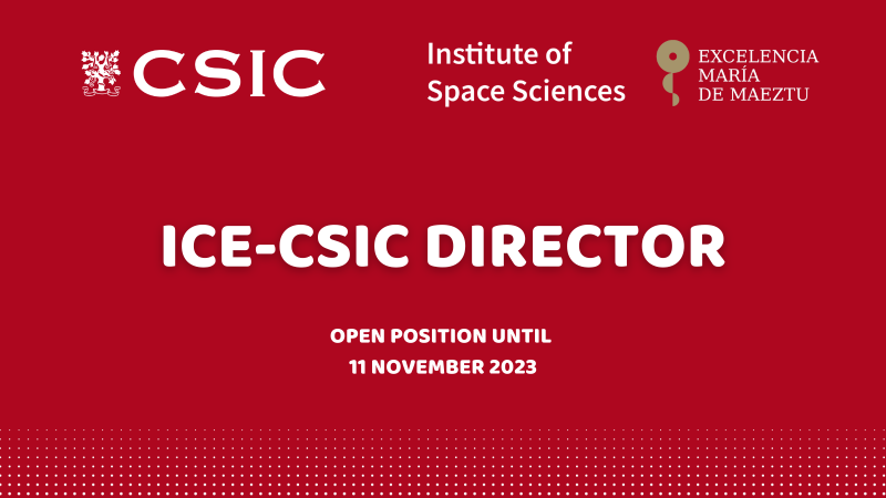 Banner CSIC Director