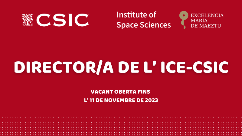 Banner CSIC Director