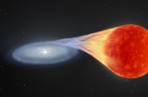 Representación artística de una estrella enana blanca en crecimiento antes de convertirse en supernova. Créditos: NASA's Goddard Space Flight Center Conceptual Image Lab.