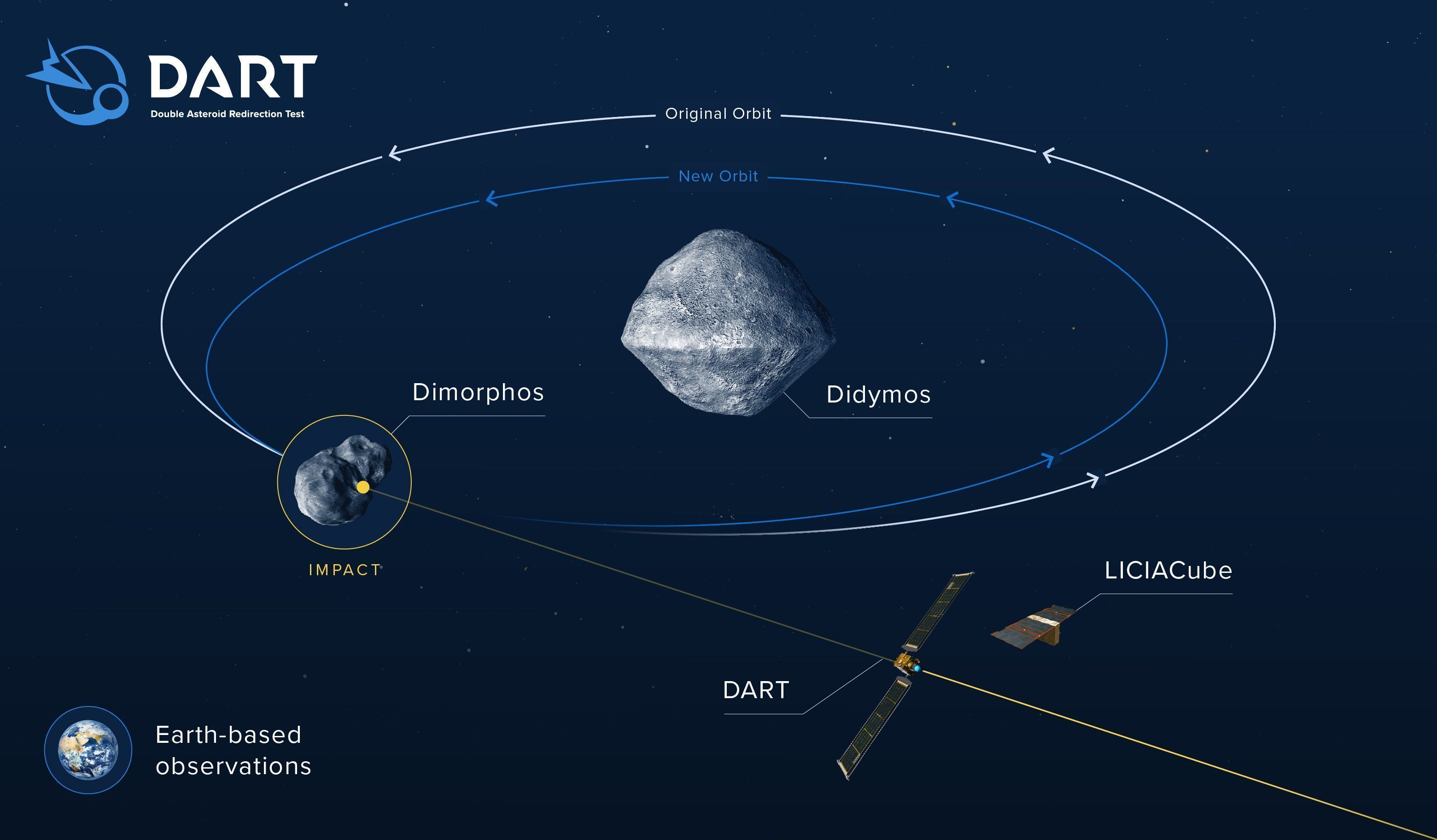 Infographic showing the effect of DART's impact on the orbit of Dimorphos Credit: NASA/Johns Hopkins APL
