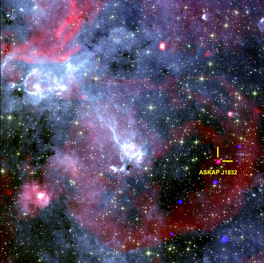  Imagen del cielo que muestra la región alrededor de ASKAP J1832-0911. Rayos X del Observatorio de Rayos X Chandra de la NASA, datos de radio del radiotelescopio sudafricano MeerKAT y datos infrarrojos del Telescopio Espacial Spitzer de la NASA. Créditos: Ziteng (Andy) Wang, ICRAR.