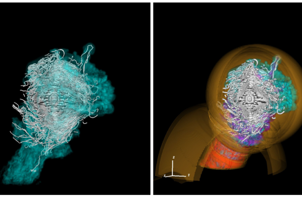 Representació dels models magnetohidrodinàmics en 3D de nebuloses de vent de púlsar, considerats sense i amb els seus entorns complexos formats per la seva estrella progenitora abans de l'explosió. Els diversos colors destaquen la bombolla de vent estel·lar creada per l'estrella progenitora massiva del púlsar al llarg de la seva vida, així com els materials que conté. Els tubs blancs tracen les línies de camp magnètic en el vent del púlsar. Crèdits: Meyer, D. M.-A. et al. (2025). 3D magnetohydrodynamic simulations of runaway pulsars in core-collapse supernova remnants. A&A, 696, L9.