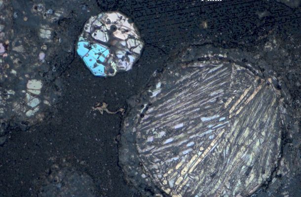 Imatge en llum reflectida d'una làmina prima de la condrita carbonàcia CV3 de la col·lecció antàrtica de la NASA analitzada a l'estudi. Poden veure's diverses còndrules amb brillants cristalls d'olivina contingudes en una matriu carbonàcia. Crèdits: J.M.Trigo-Rodríguez/ICE-CSIC.