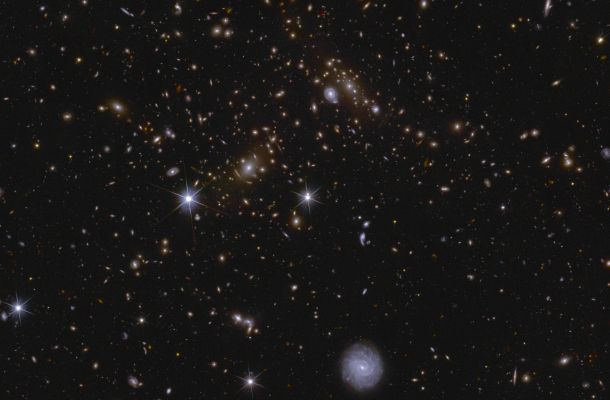 En aquesta imatge d'una zona del Camp Profund Sud de Euclid s'aprecien diversos cúmuls galàctics enormes, així com llum intracúmulo i lents gravitacionals. El cúmul pròxim al centre es denomina J041110.98-481939.3 i es troba a gairebé 6.000 milions d'anys llum de distància. Crèdits: AQUESTA/Euclid/Consorci Euclid/NASA, processament d'imatges per J.-C. Cuillandre, E. Bertin, G. Anselmi.